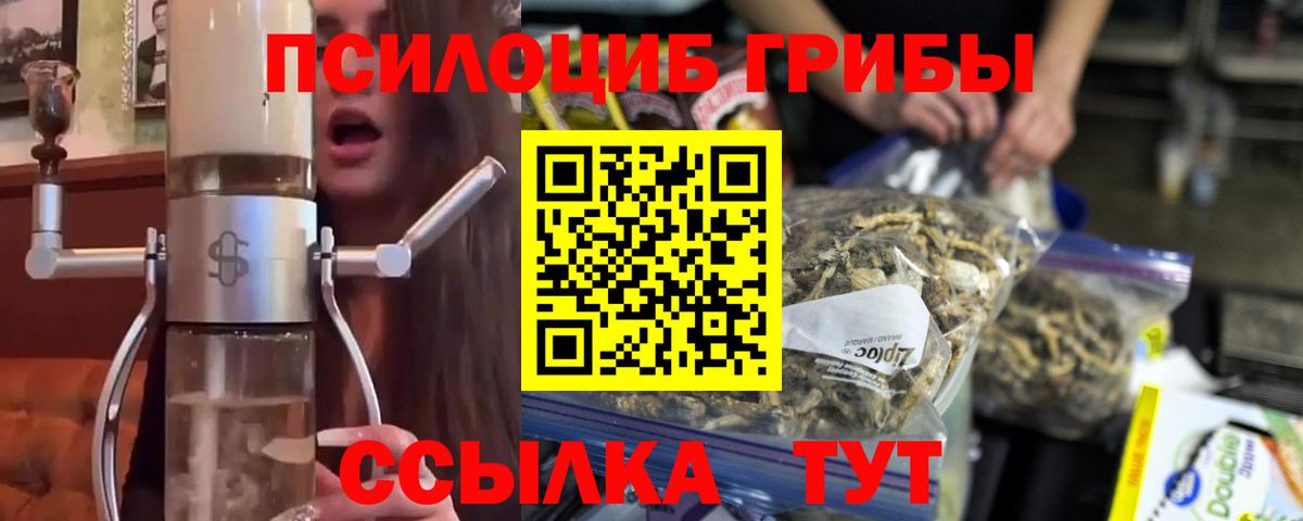 Озёрск  Псилоцибиновые грибы мицелий  закладка  Вход с VPN 